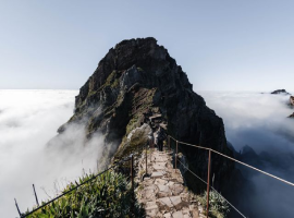 Hotels in Madeira