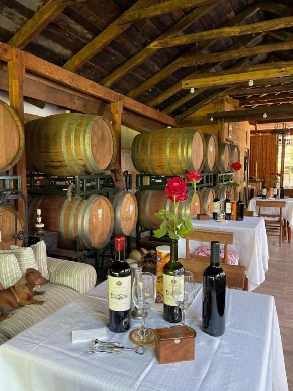 Hotel Vendimia Parador
