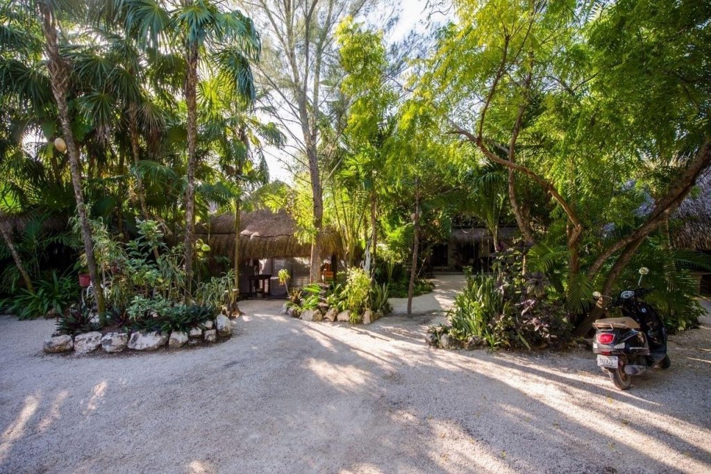 Yoga Shala Tulum
