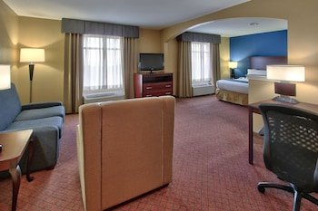 Holiday Inn Express Hotel & Suites Houston-Downtown Convention Center