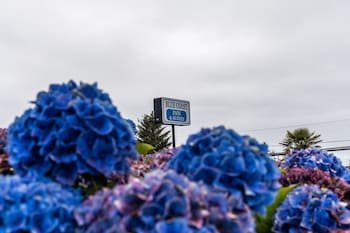 Blue Coast Inn and Suites