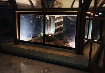 Hotel San Nicola