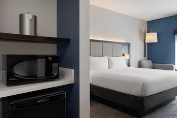 Holiday Inn Express & Suites Tampa East - Ybor City
