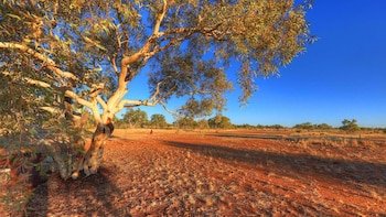 Halls Creek Motel