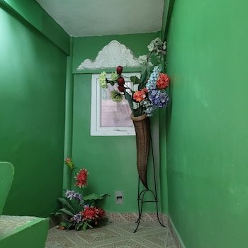 Green Monkey Resort