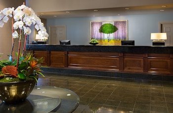 Paramount Hotel