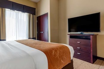 Comfort Suites Airport South