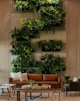 Brut Hotel