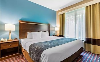 Comfort Suites Fairview Heights