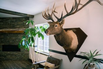 Alpen Rose Inn