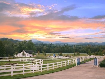 The Horse Shoe Farm