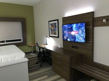 Holiday Inn Express Naples South - I-75