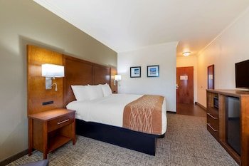 Comfort Inn Huntsville near University