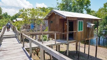Amazon Boto Lodge