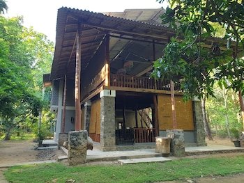 Jungle House