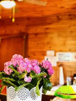 Green Gables Cottages