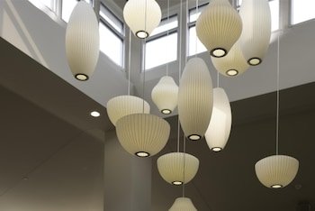 Hilton Garden Inn Fayetteville/Fort Bragg