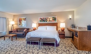 Holiday Inn Stevens Point - Convention Ctr