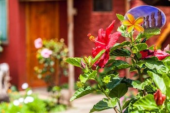 Keu Henua Eco Hostal