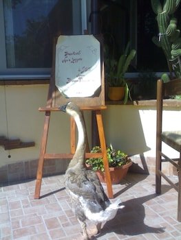Aia Di Lazzaro Country House