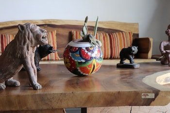 Meson del Perro