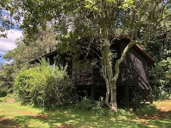 Zur Alten Mine Guest Farm B&B