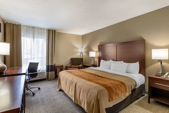 Comfort Inn Walcott Near Davenport