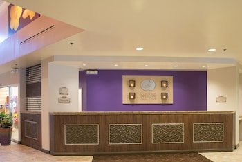 Comfort Suites Maingate East