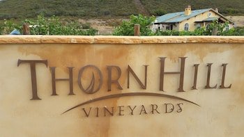Thorn Hill Vineyards Villa Suite