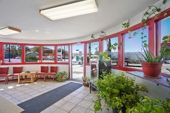 OYO Hotel Alpine TX near University