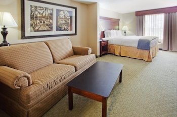 Holiday Inn Express Hotel & Suites Savannah Airport