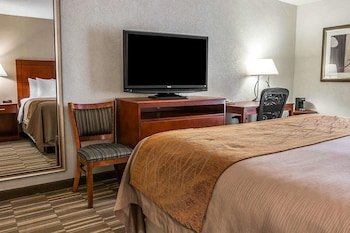 Comfort Inn & Suites University South