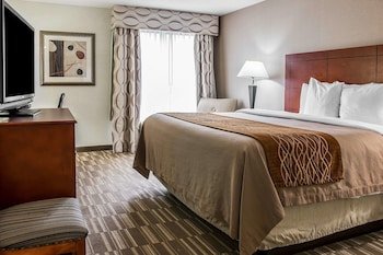 Comfort Inn & Suites University South