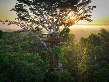 Alta Sanctuary