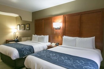 Comfort Suites NW Lakeline