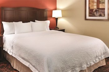 Hampton Inn Houston Willowbrook