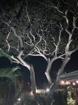 Hale Maluhia Country Inn
