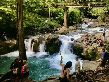 Arenal Sloth Hostel