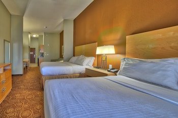 Holiday Inn Express Hotel & Suites Lubbock Southwest - Wolfforth