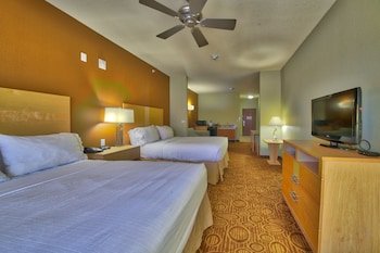 Holiday Inn Express Hotel & Suites Lubbock Southwest - Wolfforth