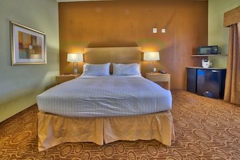 Holiday Inn Express Hotel & Suites Lubbock Southwest - Wolfforth