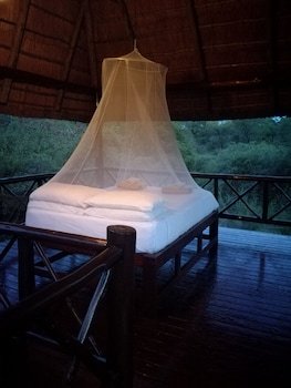 Lion Tree Bush Lodge