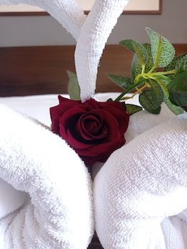 Romalive Hotel