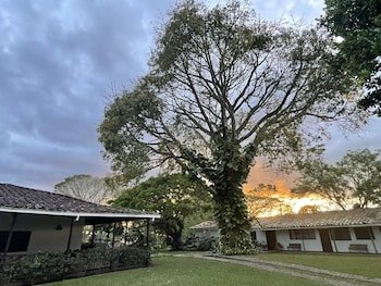 MuchoSur Quimbaya