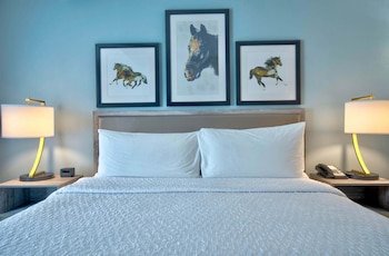 Homewood Suites by Hilton Lexington-Hamburg