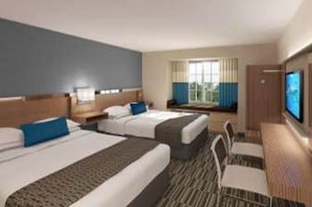 Microtel Inn & Suites by Wyndham Lynchburg