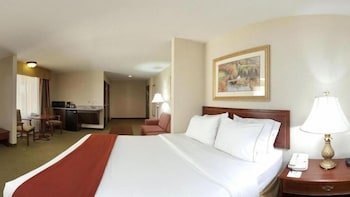 Holiday Inn Express Hotel & Suites Franklin - Oil City