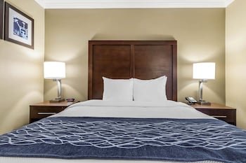 Comfort Inn Sunnyvale - Silicon Valley