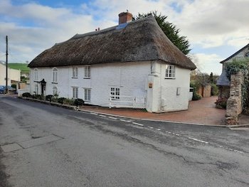 The Colyton White Cottage