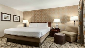 Holiday Inn Hotel & Suites Williamsburg-Historic Gateway